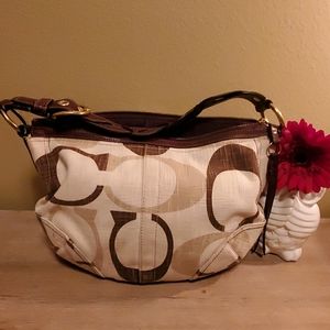 Small Coach hobo bag